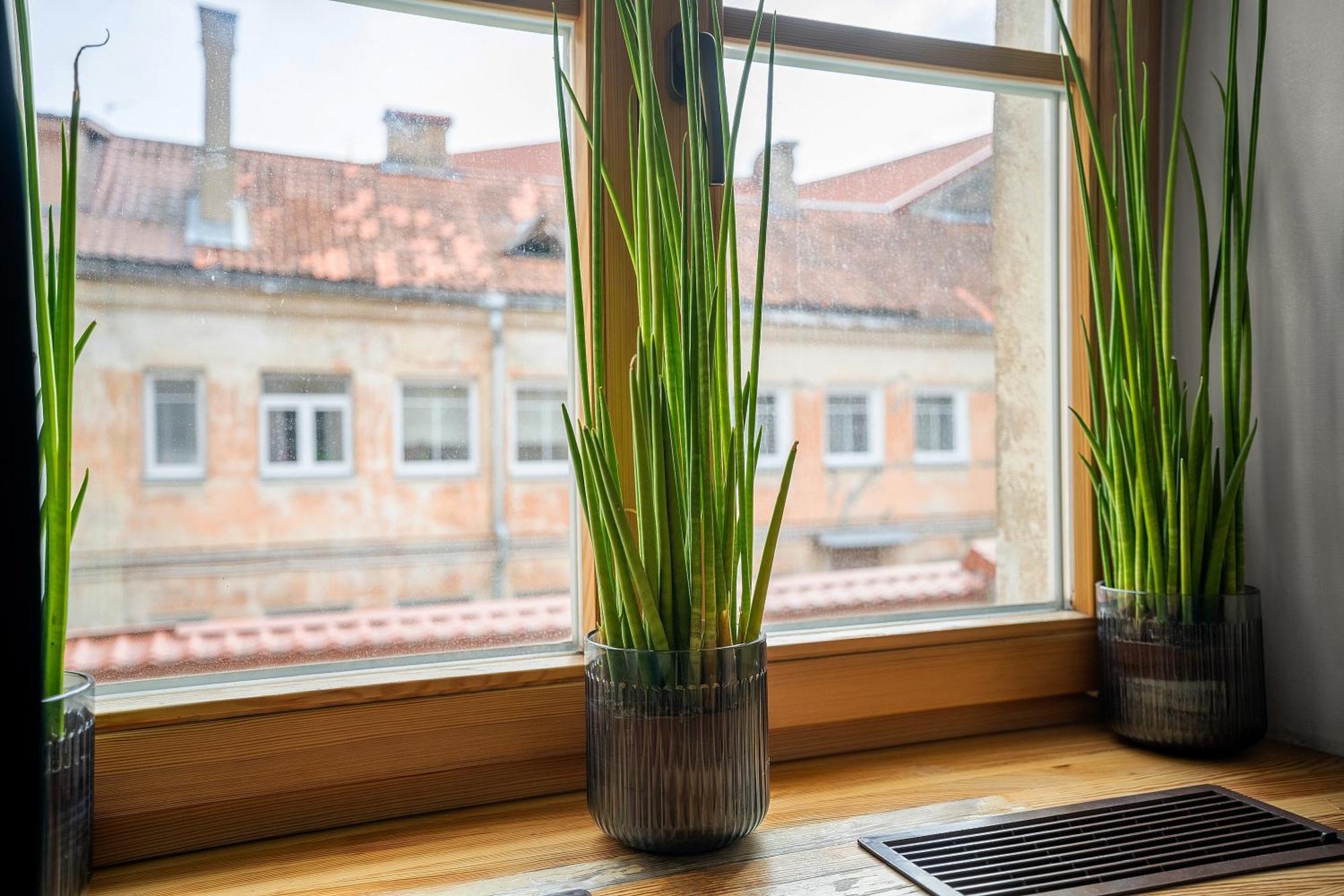 Church Through The Window Vilnius Bagian luar foto